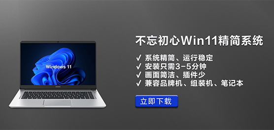 Win11_Win11ϵͳ